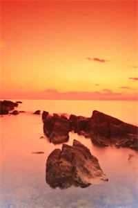 别君去后三重雪广告+结局