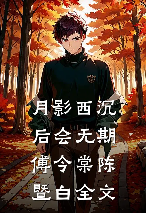 月影西沉，后会无期傅今棠陈暨白全文