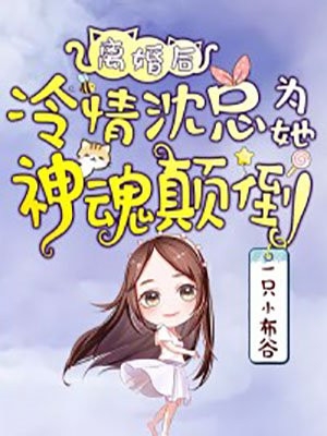 半盏花灯枕明月全篇