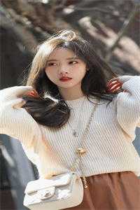 夏风掠过白夜宋宴白夏颜歌前文+后续