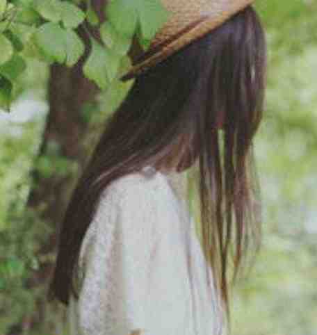 一念风止，一晌贪欢无删减全文