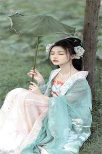 不渡寒江雪全新