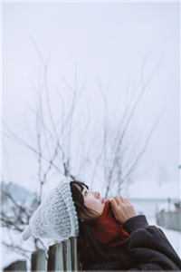 雪迟再不归完整文集阅读