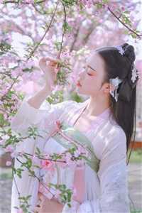 听那落雪白头不知悔免费看