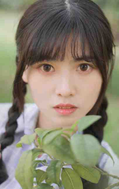 春红凋尽，此恨经年小说畅读