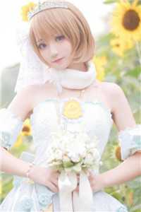 月下苏幕遮爆火全网