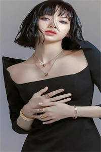 他的月亮照着别人的海全集