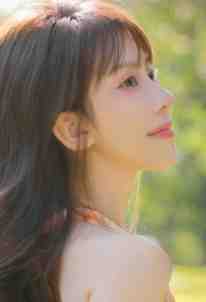 爸爸，向日葵又盛开了最完整版