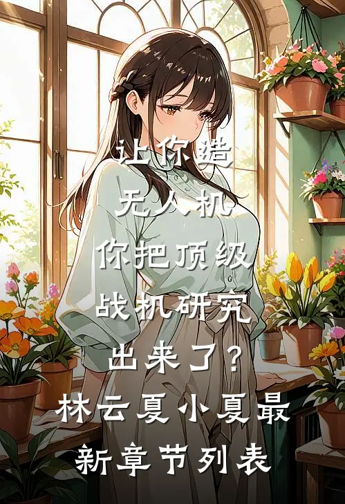让你造无人机，你把顶级战机研究出来了？林云夏小夏最新章节列表