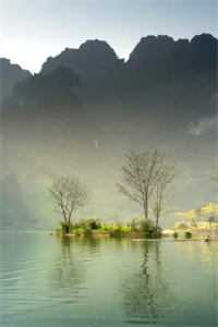 女友被糟蹋跳楼，我却反手向她妹妹求婚最新章节列表