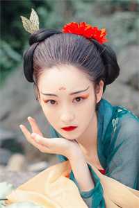 辞去风雪宴余生完整版