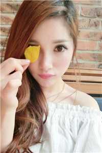 落雪梧桐夜夜歌好书