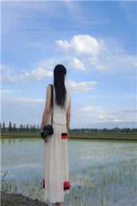 愚人节死在棺材里后，三个哥哥都悔疯了已完结版