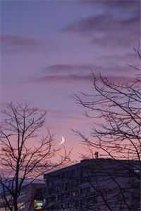 浮光掠尽一生静小说在线阅读免费