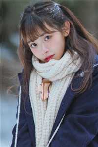 心事终成风中雪章节