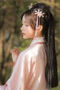 若随风入苍穹小说全文免费阅读