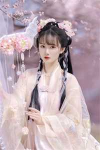 若随风入苍穹全章阅读