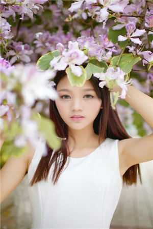 你为过客，我揽星河小说结局