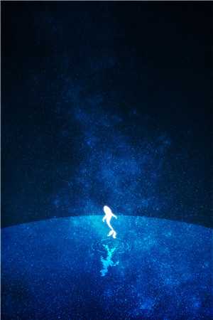 月落辞归衍高口碑