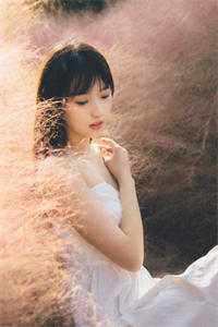 我寄人间雪满头小说畅读