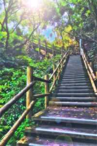 春红凋尽，此恨经年南乔陆渊全文+免费