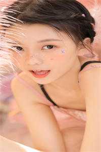 旧风未散的夏天全章节阅读