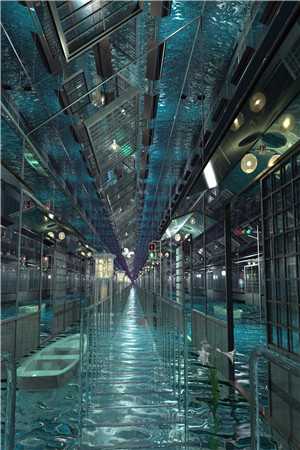 八零孕肚进京，三个前夫抢着复婚最后结局