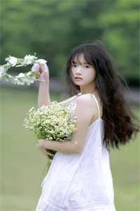 雁北回南爱未归抖音