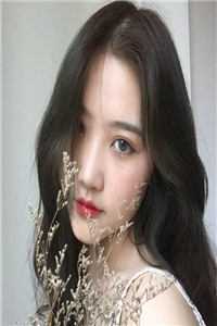 林深时见明月清爆火全网