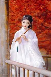 和嫡姐进错婚房，冷面权臣变忠犬推荐