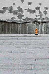 第九次民政局失约，我闪婚前任死对头全文