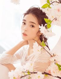 灯花对面不相识免费阅读全文