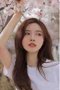 无言独倚高楼苏萝谢砚无删减全文