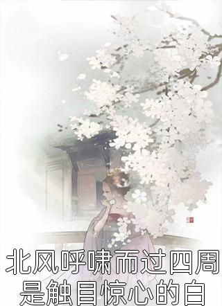 逼我贷款上班后，总裁未婚妻悔疯了前文+番外