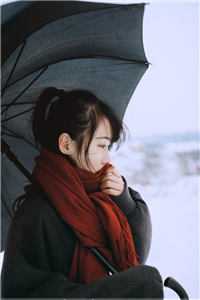 春风不顾桃花雪全集