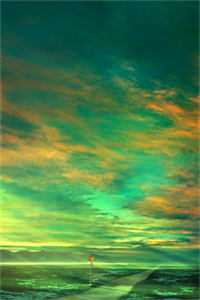 老公偷偷跟寡嫂结婚给她拿绿卡后，他悔疯了小说