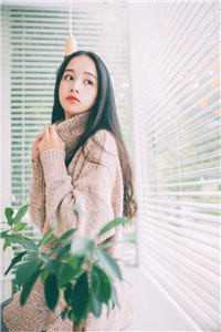 凤不栖桐人不语优质全文阅读