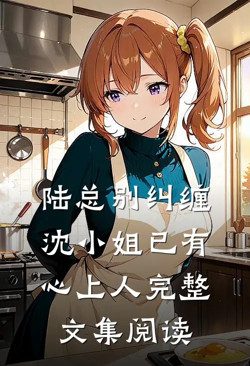 陆总别纠缠,沈小姐已有心上人完整文集阅读