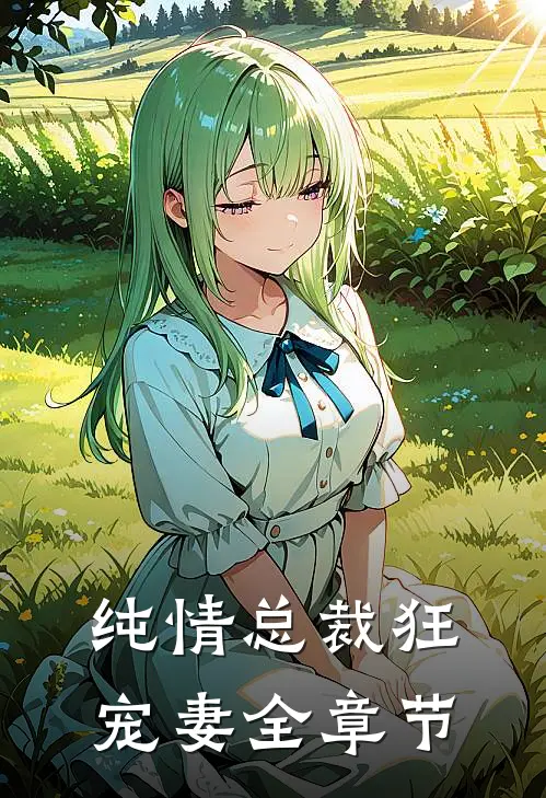 纯情总裁狂宠妻全章节