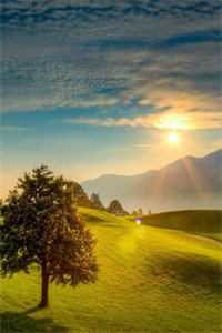 等到秋寒已尽小说畅读