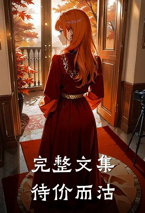 完整文集待价而沽