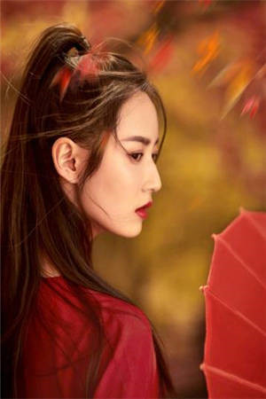 若随风入苍穹后续+全文