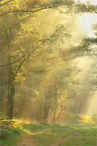 被逐出侯府后，我只好六元及第了结局+后续