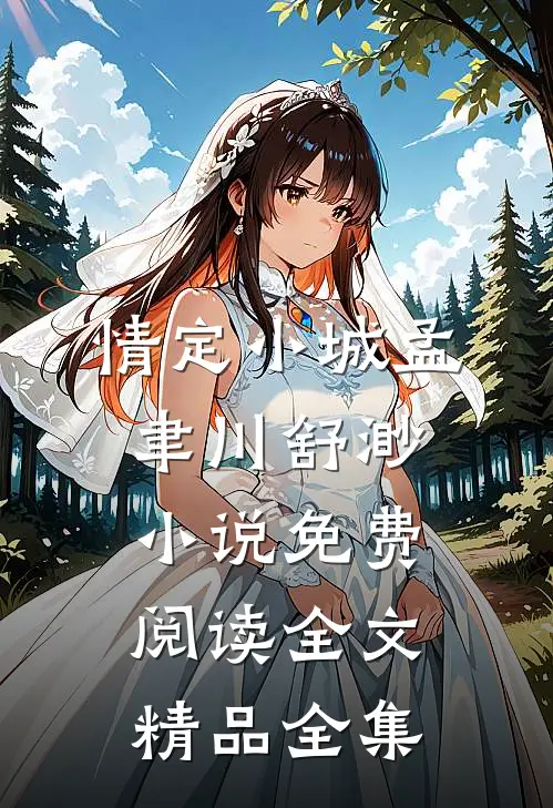 情定小城孟聿川舒渺小说免费阅读全文精品全集