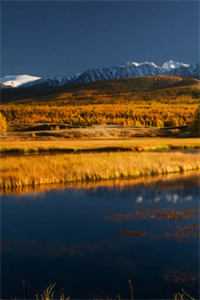 风月寄梦不寄君完结+番外