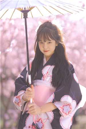 无句不忆韶华热门