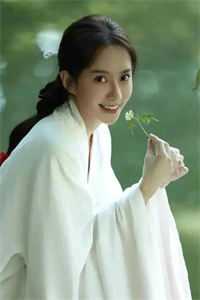 斯人若明月千里广告+结局