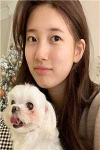 丰腴美人一出场，被军官大佬截胡已完结