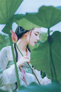 黎明诀别夜港华全文无删减