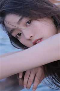 若随风入苍穹广告+结局